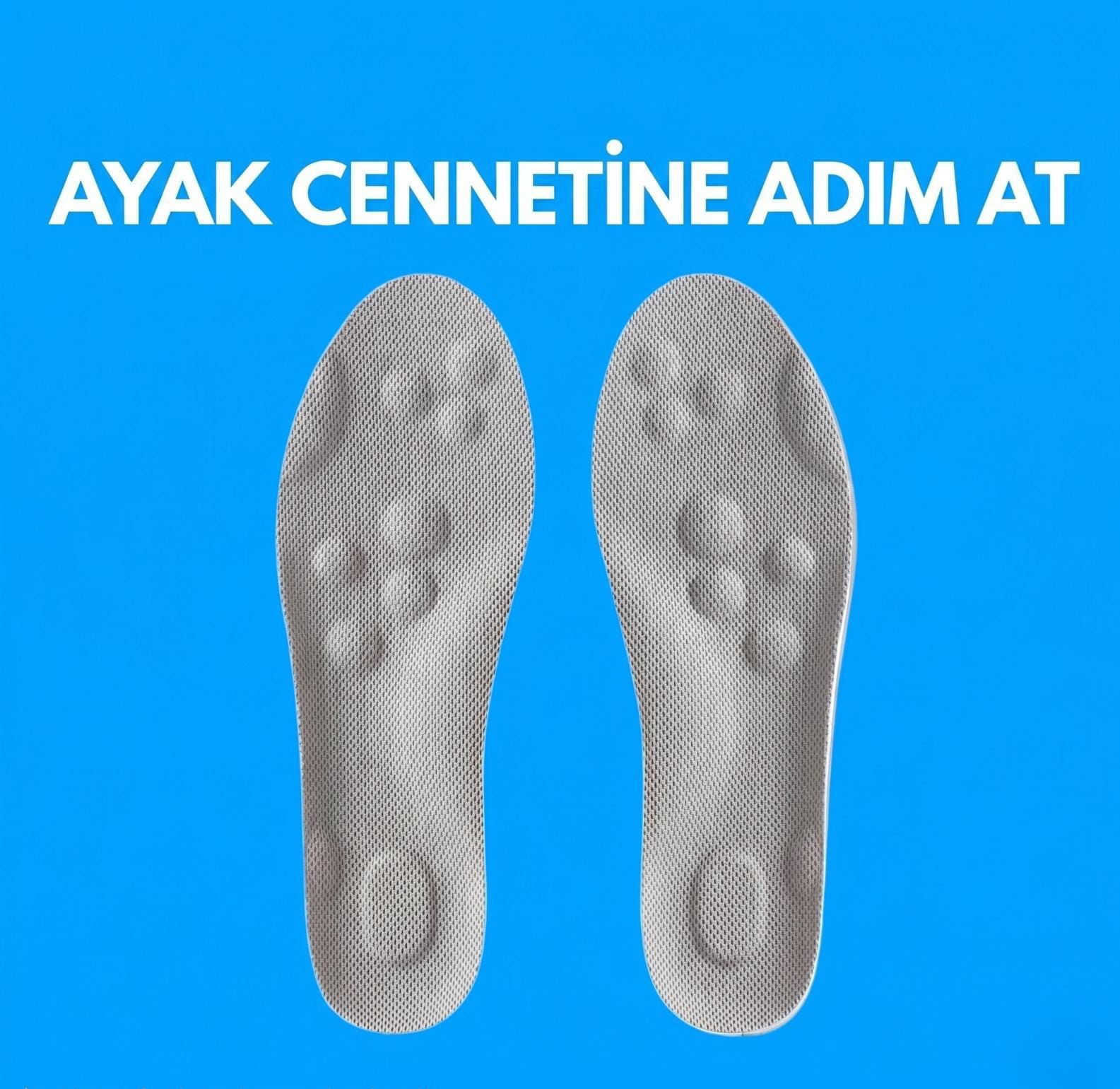 Fasyamed İç Tabanlıklar