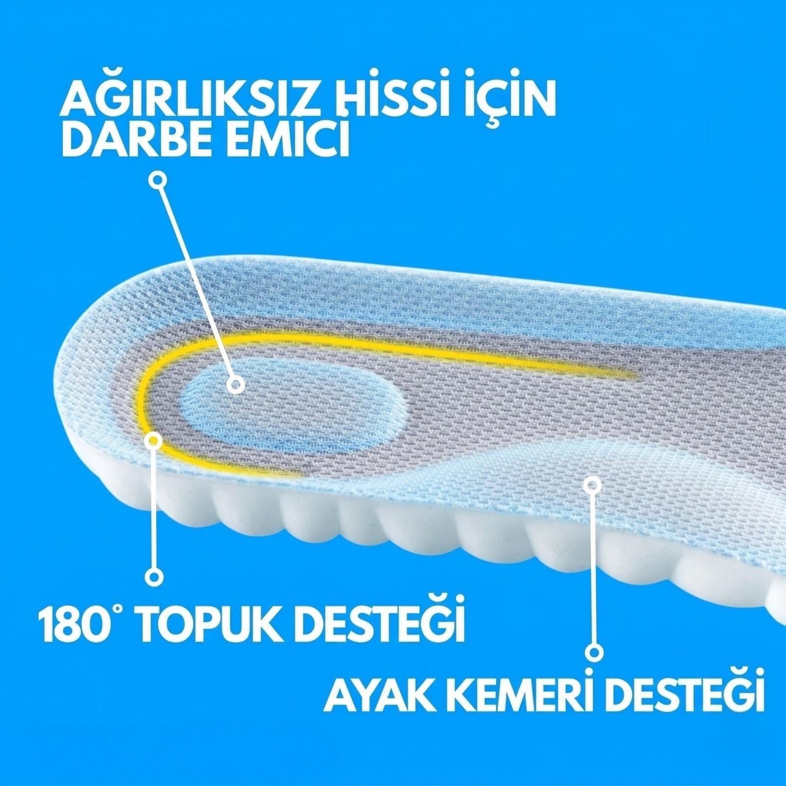 Fasyamed İç Tabanlıklar
